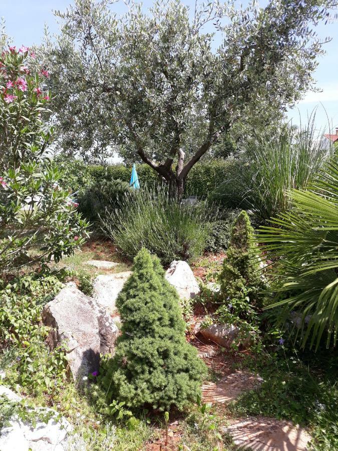 Ana Marija Apartments Poreč Exteriér fotografie
